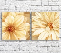 Картина ArtPoster Beige chamomile oil, diptych (3467666)