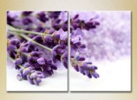 Картина Magic Color Diptych Lavender (2613785)