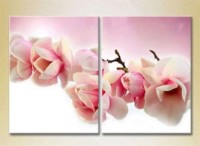 Картина Magic Color Diptych Magnolia (2613821)