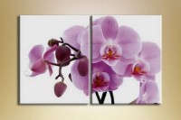 Pictură Magic Color Diptych Orchid Pink (2619647)