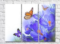 Картина ArtPoster Butterflies on a background of Lilac crocuses (3448876) фото №1 — интернет-магазин Desire.md