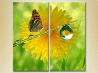 Картина ArtPoster Butterfly and dew 01 (2602973)