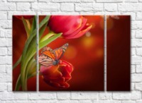 Картина ArtPoster Butterfly on a tulip flower on an Orange background (500055)