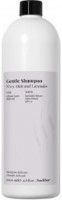 Șampon pentru păr Farmavita Back Bar Gentle 1000 ml