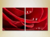 Картина ArtPoster Drops on a Red rose 02 (2613776)