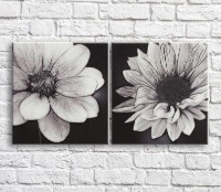 Картина ArtPoster Field daisies in Black and White style, diptych (3467756)