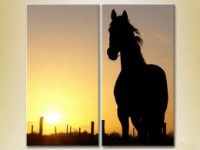 Картина ArtPoster Horse silhouette at sunset (2602990) фото №1 — интернет-магазин Desire.md