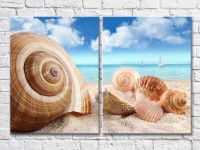 Pictură ArtPoster Large seashells in the sand (3453713)