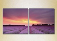 Картина ArtPoster Lavender field 04 (2164472)