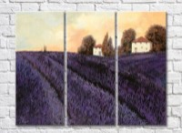 Картина ArtPoster Lavender Field at Sunset (3470915)