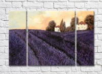 Картина ArtPoster Lavender Field at Sunset (3470944)