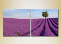 Картина ArtPoster Lavender field with tree (2164458)