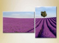 Картина ArtPoster Lavender field with tree 01 (2164459)