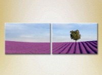 Картина ArtPoster Lavender field with tree 02 (2164460)