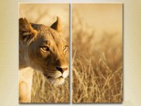 Картина ArtPoster Lioness (2602987)