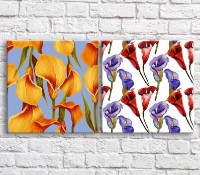 Картина ArtPoster Multicolored calla lilies on White and Blue backgrounds (3467769)