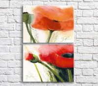 Картина ArtPoster Orange and Red poppies on White background (3467854)