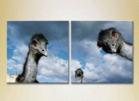 Картина ArtPoster Ostriches 02 (2602982)