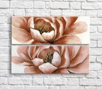 Картина ArtPoster Pink peonies oil on White background (3467868)