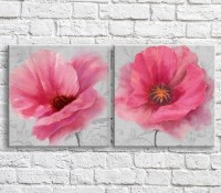 Pictură ArtPoster Pink poppies on a White background with patterns (3467784)