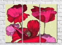 Картина ArtPoster Scarlet poppy flowers-drawing (500053)