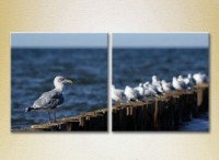 Картина ArtPoster Seagulls in Crimea (2164437)