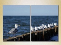 Картина ArtPoster Seagulls in Crimea 02 (2164438)