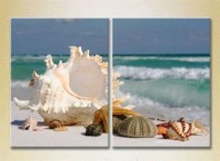 Картина ArtPoster Seashells (2164433)