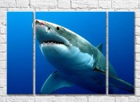 Картина ArtPoster Shark with a wounded snout in the sea (3469208)