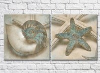 Картина ArtPoster Shell and starfish in Turquoise colors (3453072)
