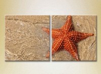 Картина ArtPoster Starfish on the shore (2164421)