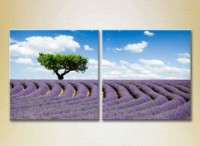 Картина ArtPoster Tree in lavender field (2164451)