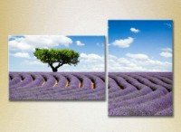 Картина ArtPoster Tree in lavender field 01 (2164452)