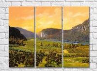 Картина ArtPoster Vineyards in the Hills (3470940)