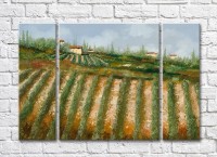 Картина ArtPoster Vineyards in the Hills (3470957)