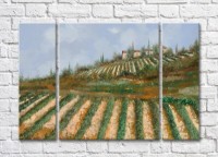 Картина ArtPoster Vineyards in the Hills (3470963)