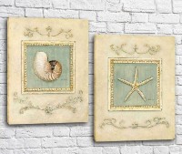 Картина ArtPoster Vintage seashell and starfish (3453083)