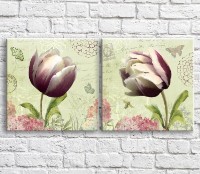 Картина ArtPoster Violet White tulips and butterflies on a Green background (3467798)