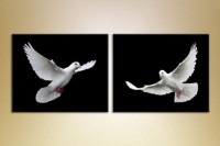 Картина ArtPoster White doves (2603018)