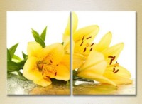 Картина ArtPoster Yellow lilies 01 (2613772)