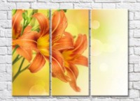 Картина Rainbow Orange lilies on a yellow background (500491) фото №1 — интернет-магазин Desire.md
