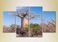 Pictură Rainbow Polyptych Baobab (2223660) imaginea #1 — magazin online Desire.md