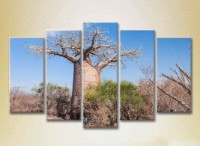 Pictură Rainbow Polyptych Baobab 02 (2224804) imaginea #1 — magazin online Desire.md