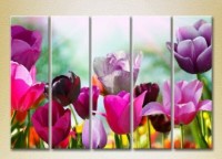 Pictură Rainbow Polyptych Field of colorful tulips 03 (2932860) imaginea #1 — magazin online Desire.md