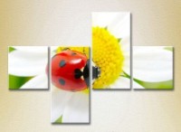 Pictură Rainbow Polyptych Ladybug on a camomile 02 (2222217) imaginea #1 — magazin online Desire.md
