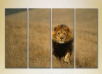 Pictură Rainbow Polyptych Lion Hunting 01 (2222226) imaginea #1 — magazin online Desire.md