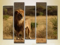 Pictură Rainbow Polyptych Lion on the Hill 03 (2224628) imaginea #1 — magazin online Desire.md