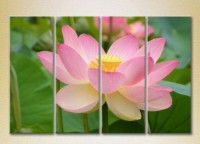 Pictură Rainbow Polyptych Lotus pink (2932305) imaginea #1 — magazin online Desire.md