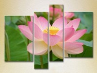 Pictură Rainbow Polyptych Lotus pink 02 (2932326) imaginea #1 — magazin online Desire.md