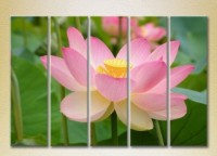 Pictură Rainbow Polyptych Lotus pink 03 (2932830) imaginea #1 — magazin online Desire.md